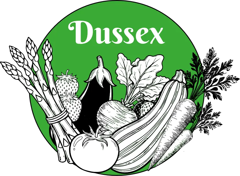 Panier Dussex